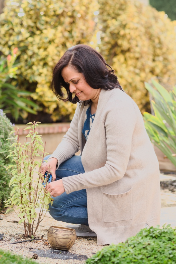 Dr. Malathi Acharya, integrative medicine physician in Portola Valley